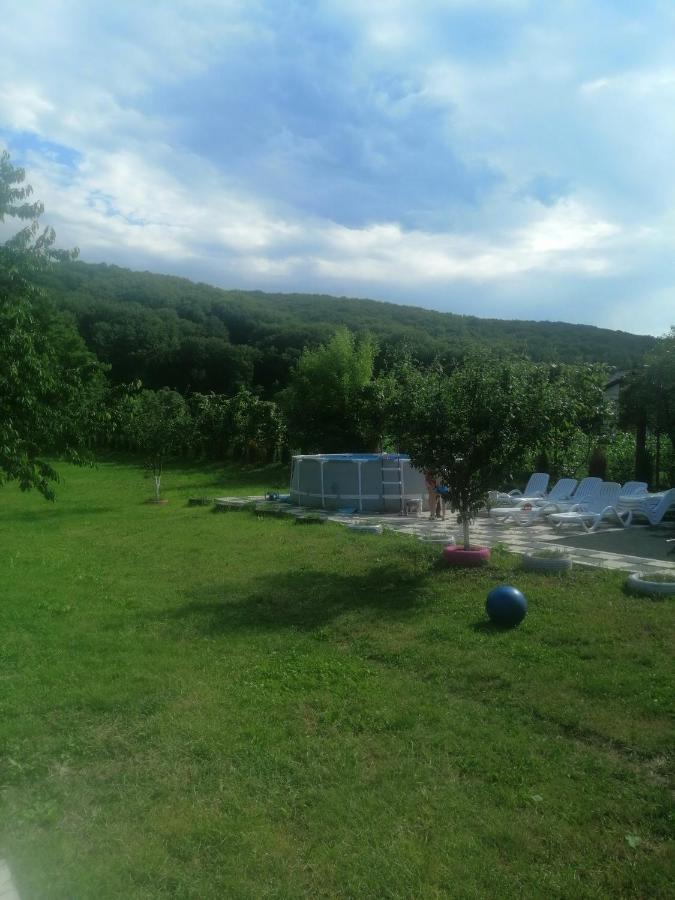 Casa Amaya Bacău Exteriér fotografie