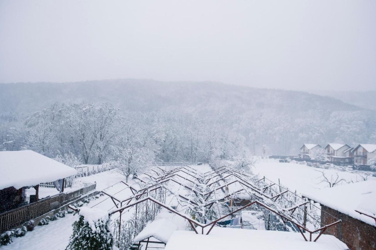 Casa Amaya Bacău Exteriér fotografie